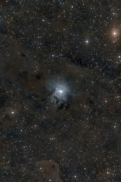 Das Bild ist eine Astrofotografie Aufnahme des Iris Nebels (NGC 7023). Im Zentrum erleuchtet ein heller Stern umliegende dunkle Staubwolken.