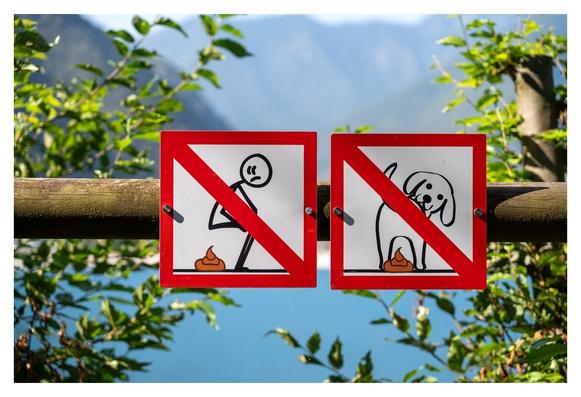 Ein Holzgeländer trägt zwei rote Verbots-Schilder. Auf dem rechten Schild ist ein Hund zu sehen, der ein "Häufchen" macht. Auf dem linken Bild ist ein Mensch zu sehen, der auch ein "Häufchen" macht. Im Hintergrund ist eine malerische Landschaft mit Bergen und Wasser sichtbar, umgeben von grünen Pflanzen, die eine naturnahe Umgebung schaffen.
