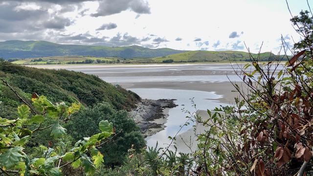 This picture captures a scenic coastal landscape with a sandy beach in the foreground. The beach is broad and mostly empty, with a few faint footprints scattered across the sand. Behind the beach, there's a rugged cliffside covered in dense, lush greenery, including various trees and shrubs. Some patches of vegetation display reddish hues, possibly indicating seasonal changes or differing plant types. The cliff face features exposed rock formations with sharp, angular lines, adding texture and contrast to the soft greenery. Above, the sky is bright blue with scattered white clouds, creating a vibrant and clear atmosphere. The overall scene exudes tranquility and natural beauty.