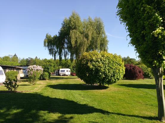 Das Bild zeigt eine ruhige und gepflegte Campinganlage unter einem klaren blauen Himmel. Im Vordergrund erstreckt sich ein grünes, gepflegtes Rasenstück, auf dem sich verschiedene Bäume und Sträucher befinden. Ein besonders auffälliger, runder Baum mit dichtem grünem Laub steht im Zentrum des Bildes. Links im Bild sind zwei Wohnwagen zu sehen, einer davon mit einer weißen Farbe und der andere mit einer dunkleren Farbe. Im Hintergrund ist ein weiterer Wohnwagen sichtbar, der sich hinter einem großen, hängenden Weidenbaum befindet. Die Umgebung ist von einer Vielzahl von Bäumen und Sträuchern umgeben, darunter ein Strauch mit lilafarbenen Blüten. Die gesamte Szene wirkt friedlich und einladend, ideal für einen entspannten Urlaub.

Bereitgestellt von @altbot, privat und lokal generiert mit Ovis2-8B