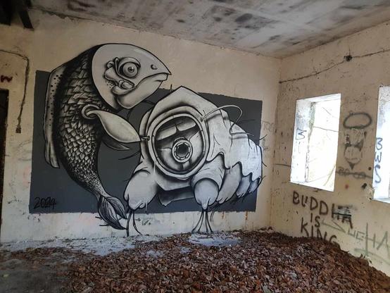 Artwork by unknown artist in Szczecin Zdroje, Poland