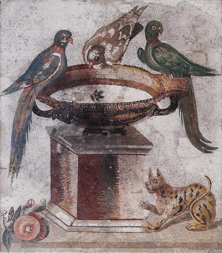 Two parrots and a pigeon drink at an elevated fountain. A cat is ready to pounce from the ground below. Ripe fruits lay on the ground to the left. Held by the MAN Napoli, Inv. 9992. Image credit: Marie-Lan Nguyen (2011)