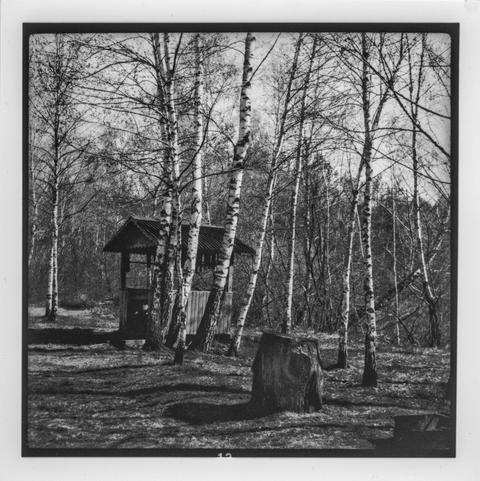 This is a black and white photograph of a quiet, wooded area. In the center of the image, there is a small wooden structure with a pitched roof, possibly a gazebo or a shelter. The scene is dominated by tall, slender birch trees with white bark, some of which are in the foreground and partially obscure the structure. There is a large tree stump near the center-right of the image, casting a long shadow across the ground. The overall atmosphere feels calm and slightly nostalgic, likely due to the monochrome tone and the natural, somewhat rustic setting.