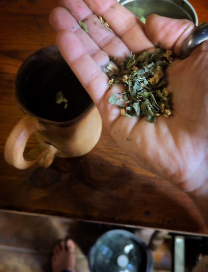 Una mà sostenint un grapadet d'erbes. 
Al fons un taulell de fusta amb una tassa.