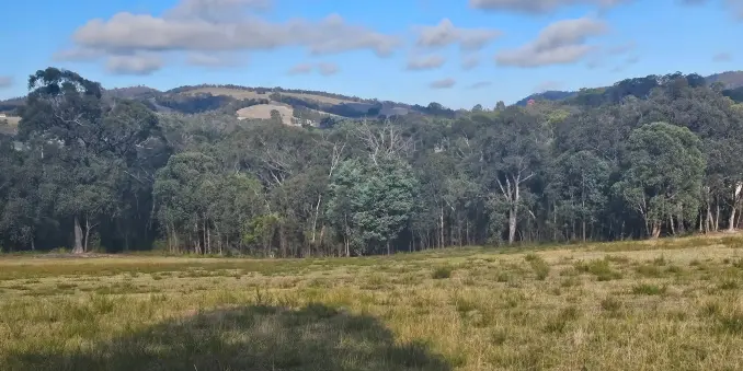 Image of a rural landscape with open grassland in the foreground and some trees and hills in the distance.