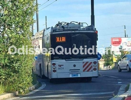 🚎 I #filobus tornano in movimento sulla Laurentina: sono in corso i collaudi per verificare rete elettrica e infrastrutture in vista della riattivazione della linea 74.

Il corridoio dedicato al trasporto pubblico collega Fonte Laurentina alla metro B Laurentina, lungo un tracciato riservato e pensato per ridurre traffico e emissioni in uno dei quadranti più congestionati della Capitale.

🔧 I test attuali servono a garantire la sicurezza e l’efficienza del servizio prima della ripartenza. Nessun annuncio ufficiale sui tempi, ma si tratta di un passo necessario e atteso.

📎 Approfondimento qui