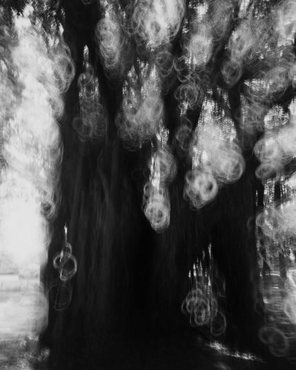 photography by al keddie