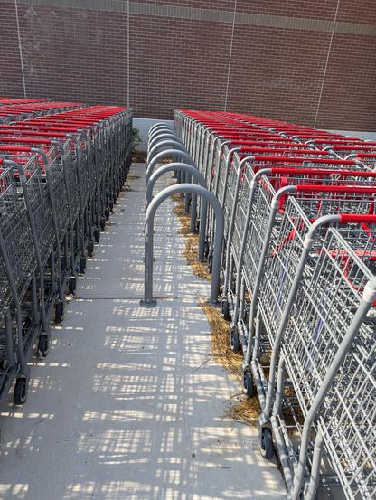 A photo looking down a row of metal bike racks outside a brick-covered building, each a bent pipe embedded in concrete shaped like an upside-down U, which are all neatly blocked by massive rows of shopping carts. The bike racks make great overflow shopping cart storage it seems.