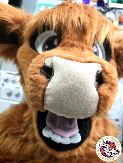closeup of a highland cow fursuit