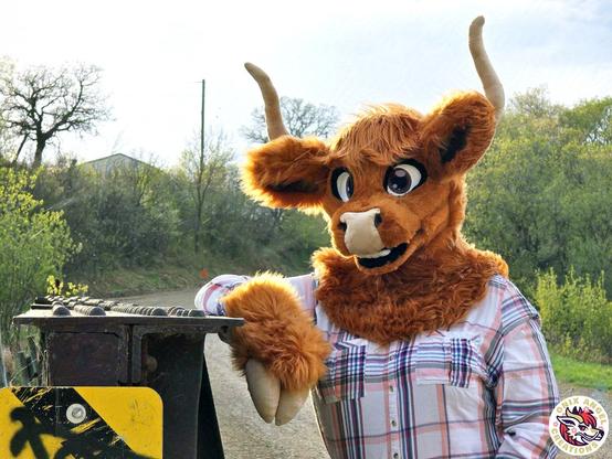 picture of a highland cow fursuit leaning against a bridge