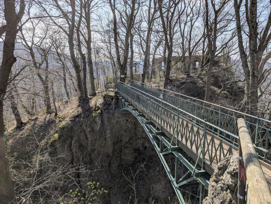 This photo is taken in front of a green metal bridge with wooden planks. On the other side of the bridge you can see the Rosenstein ruin hiding in the trees.