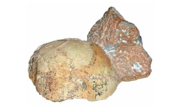 The Apidima 1 fossil
Katerina Harvati, Eberhard Karls University of Tübingen