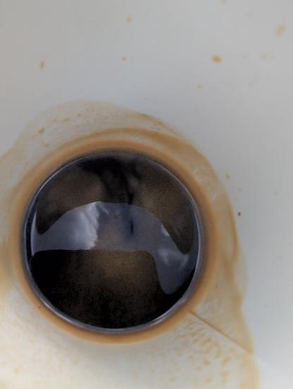 Single coffee expresso where you can see some clouds from the sky above