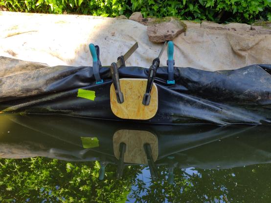 Die Wasseroberfläche eines halbleeren Gartenteichs und kurz oberhalb davon ein OSB-Holzbrettchen, das mit zwei Schraubzwingen fixiert ist. Links und rechts der Schadstellen halten Klammern die aufgerollte Teichfolie, so dass die Schadstelle von vorne und hinten zugänglich ist.