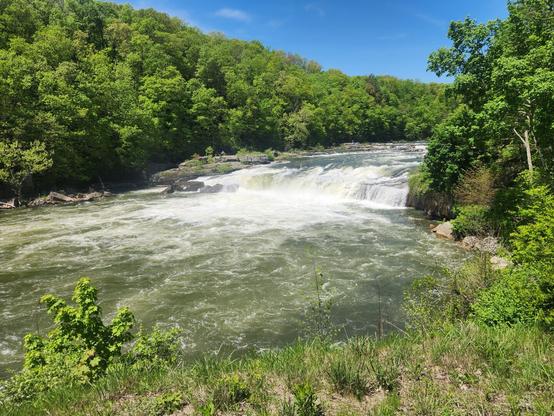 A small waterfall surrounded by green trees and brush