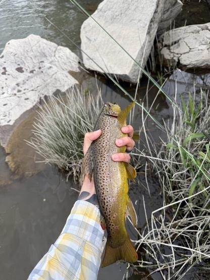 Great trip out west!