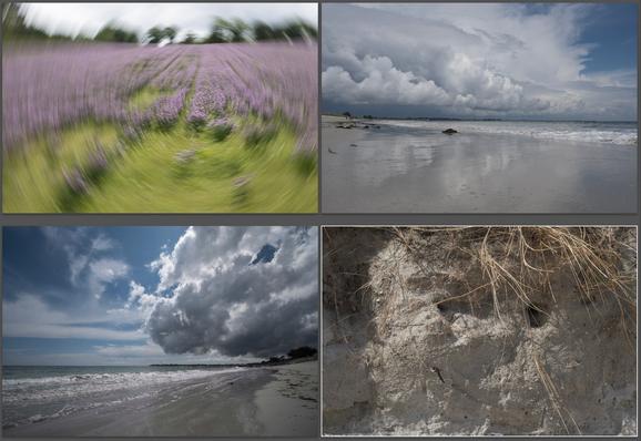 Copie d'écran présentant quatre photos :
- un champ fleuri ,couleur parme
- une plage, de sable fin humide où se reflètent des nuages menaçant, la mer est à droite
- une plage, de sable fin humide où se reflètent des nuages menaçant, la mer est à gauche
- un hirondelle de rivage, passe devant son nid, creusé dans la falaise de la dune de sable.