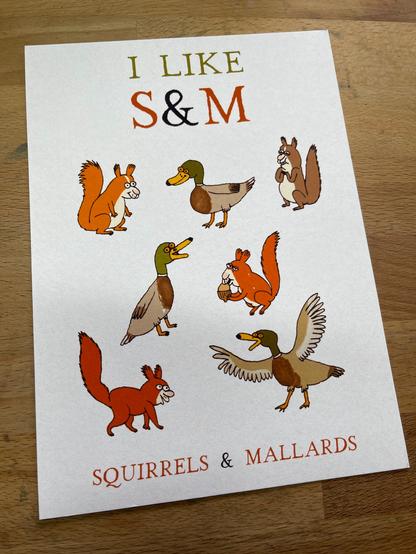 a print which has cartoon squirrels and ducks on it and at the top it says 'i like S&M and at the bottom 'squirrels & mallards'.
