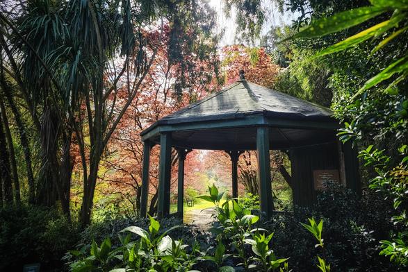 A medium shot captures a green gazebo nestled among vibrant, autumnal foliage in a garden setting. Sunlight filters through the trees, illuminating a path leading to the gazebo.