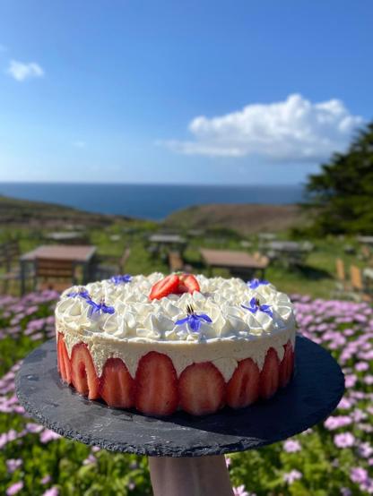Fraisier, Café Monsieur Papier, pointe du Raz, Plogoff, Cap sizun, Finistère, Bretagne