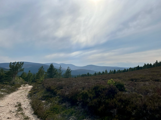 View of walking path from highest point on trek.