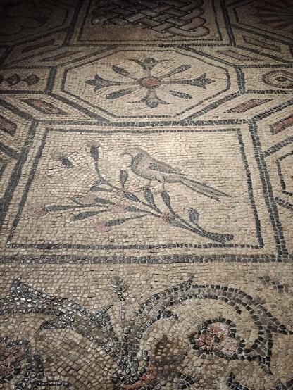 mosaici della Basilica di Aquileia UD