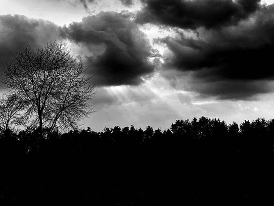 Schwarz weißes Foto, aus den Wolken dringen Sonnenstrahlen heraus