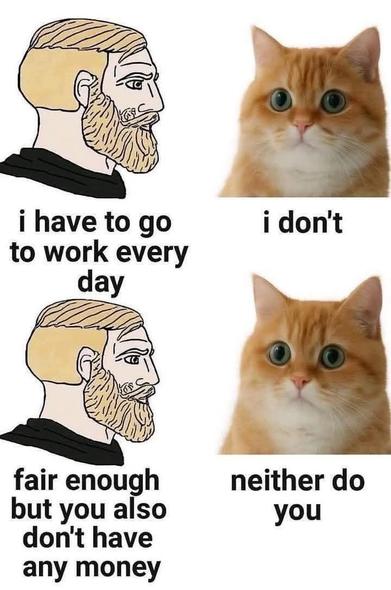 A meme showing a man talking to a cat. The man says "I have to go to work every day." The cat says "I dont." The man says, "Fair enough but you also don't have any money." The cat then says, "Neither do you."