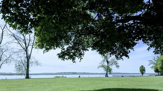 POV from under a big shady maple tree. It's a summer like sunny day with hazy blue and cloudy skies looking out onto the lake with a couple on deciduous trees on the shore. A distant dock and another park goer seated by the shore.