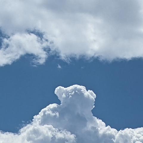 Fluffy white cloud shaped like a bear (a bit)