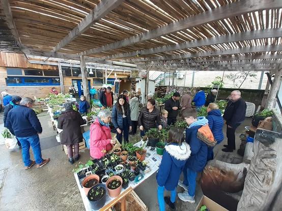 Photo du troc plantes