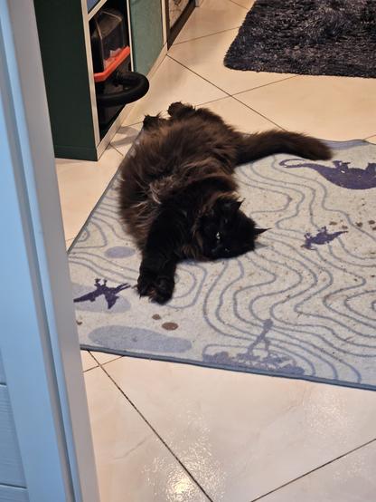 Black long-haired cat "Hope" lying stretched out on a blue carpet with darker blue lines and dinosaur silhouettes.