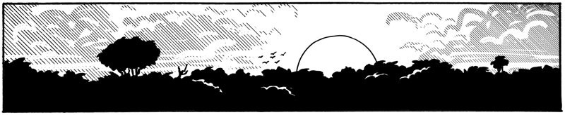Black and white inked drawing of the sun coming up over the silhouette of the jungle. Clouds are suggested in hatching. A flock of birds is flying over the jungle, as tradition dictates.