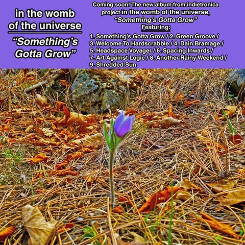 An artistic album announcement featuring a single purple flower amidst fallen leaves and pine needles. Text overlays announce the album title "Something's Gotta Grow" and list nine track titles. The background includes a stone and autumn foliage, creating a natural setting.