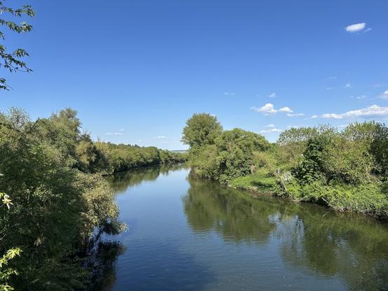 Neckaraue