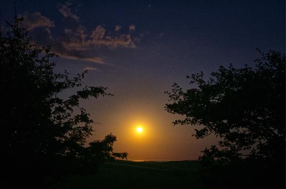 An orange moon veiwed from a gap in a hedge. Night sky clouds iluminated.