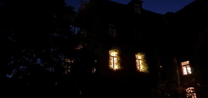 old apartement building at night, mostly some windows framed by vines can be seen and the silhouette of the building and a tree against the dark blue night sky