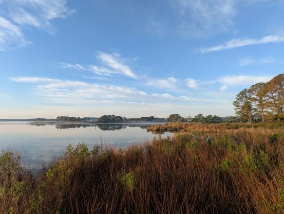 Photo of a calm morning sunrise over Harris Creek sun rising low to the right in a pale blue sky. Wispy white clouds decorate the center and horizon . Marsh is green with riotous new spring growth. Creek water is rippled and reflects the sun, sky and clouds.