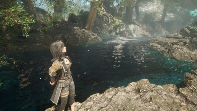 Une capture d'écran du jeu Clair Obscur Expédition 33 sorti récemment. Une des personnage jouable, Lune, une jeune femme de taille moyenne aux cheveux noirs se tient sur le rebord rocheux d'un cours d'eau aux teintes bleu vert. Le cours d'eau est peu profond et bordé d'arbres enracinés dans la roche.

Lune est vêtue d'une tenue d'inspiration militaire de la marine telle qu'on peut se la représenter au XIXe siècle, avec une veste assez longue dont les épaules sont garnies de cordes. Elle semble contempler le paysage.