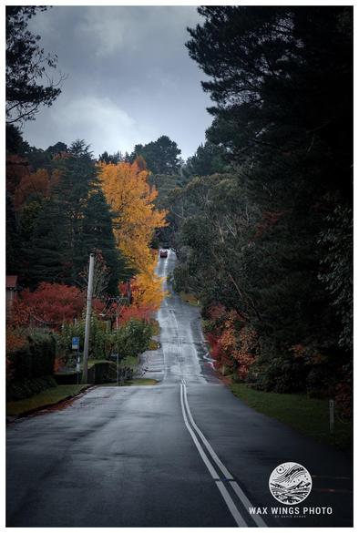 A mountain suburb road, wet with recent rain. Some trees have brilliant orange leaves
