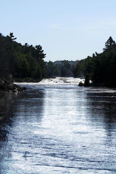 Looking towards the river rapids, heavily forested on both sides with conifers.