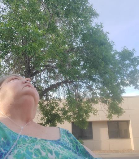 Me, head upturned, gathering the light into my eyes, a large leafy green tree behind me, blue sky above