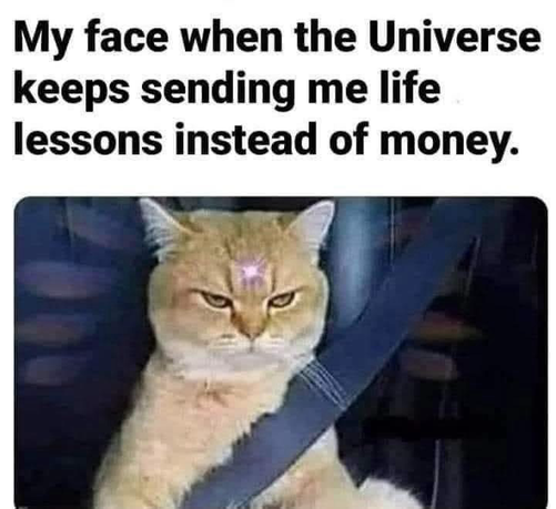 (Angry looking cat)  My face when the Universe keeps sending me life lessons instead of money.