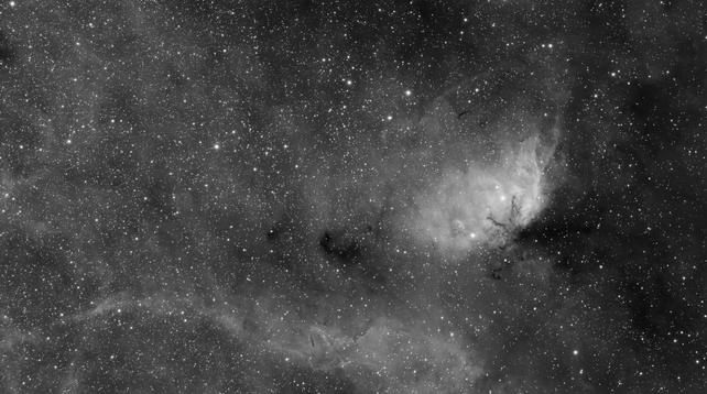A monochrome image containing the Hydrogen alpha emissions from the Tulip nebula and the surrounding nebulosity.