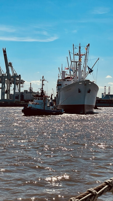 Die Cap San Diego wird von einem Schlepper auf ihren Stammplatz an die Überseebrücke im Hamburger Hafen gezogen.