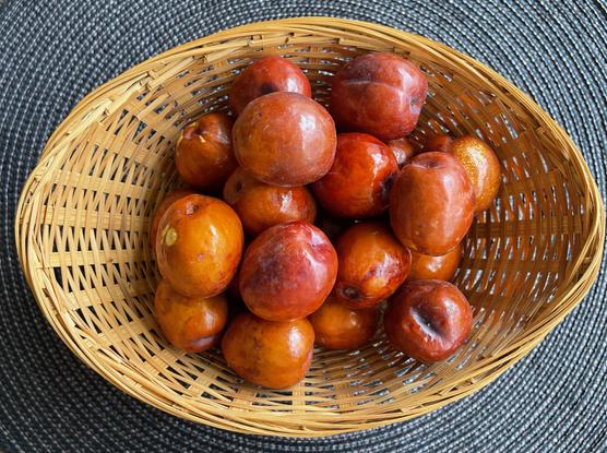 jujube