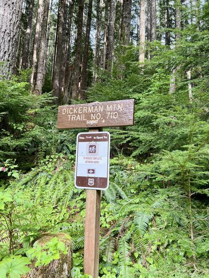 National Forest Service sign reading "Dickerman Mtn Trail No. 710" and beneath it "Summit: 4". Another sign beneath reminds hikers to share the trail. Behind are ferns and u death, and tall evergreen trees.