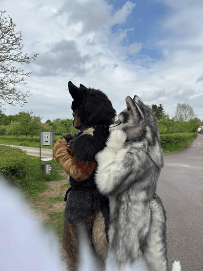 Photo of two canine fursuiters, viewed from behind, with one of the two sneaking up on the other to „boop“ the latter with his nose.