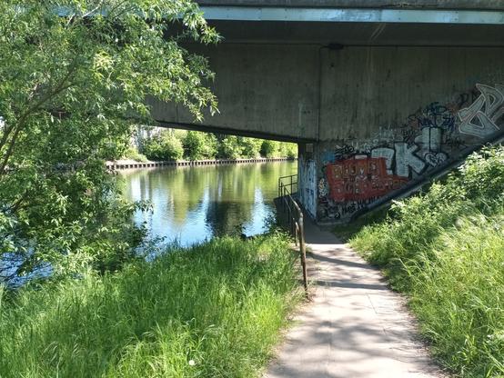 Enger Fußweg am grün bewachsenen Spreeufer, auf dem Fußys gerade so aneinander vorbei kommen, wird unter einer sehr niedrigen Flußbrücke auf ca 80 cm mit Geländer zum Fluss hin verengt. Hier sind normalerweise auch Radlys unterwegs...