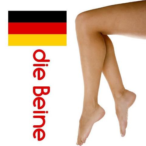 beine